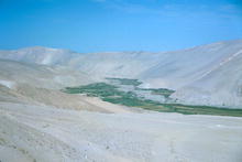 s_535.jpg