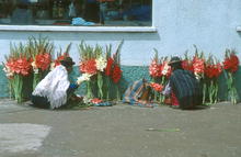 s_541.jpg