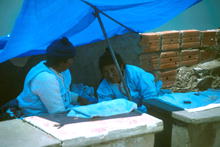 s_546.jpg