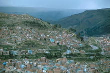 s_564.jpg