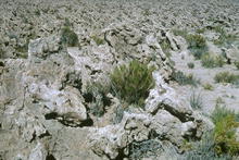 s_587.jpg