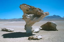 s_604.jpg